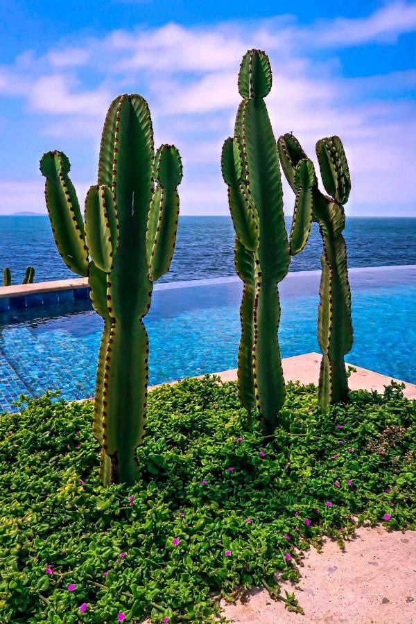 Casa Natalie Hotel Ensenada Ngoại thất bức ảnh